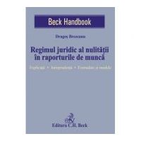 Regimul juridic al nulitatii in raporturile de munca. Explicatii. Jurisprudenta. Formulare si modele - Dragos Brezeanu