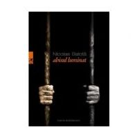 Abisul luminat - Nicolae Balota