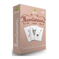 Carti de joc Montessori. Vocabular. Ustensile si unelte