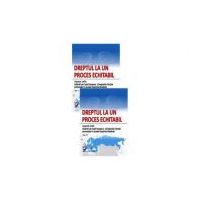 Dreptul la un proces echitabil. Aspecte civile. Hotarari ale Curtii Europene a Drepturilor Omului pronuntate in cauzele impotriva Romaniei, 2 volume -