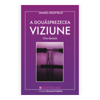 A douasprezecea viziune. Ora deciziei - James Redfield