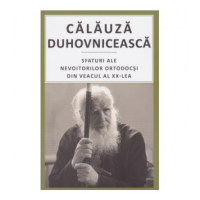 Calauza duhovniceasca. Sfaturi ale nevoitorilor ortodocsi din veacul al 20‑lea - pr. Valentin Mordasov