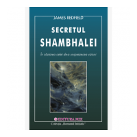 A unsprezecea viziune. Secretul Shambhalei - James Redfield