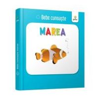 Marea. Bebe Cunoaste
