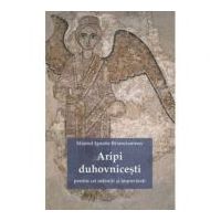 Aripi duhovnicesti pentru cei osteniti si impovarati - Sf. Ignatie Briancianinov