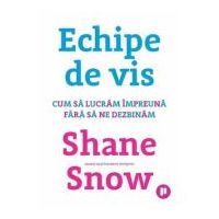 Echipe de vis. Cum sa lucram impreuna fara sa ne dezbinam - Shane Snow