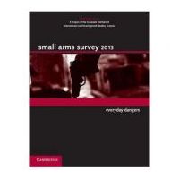 Small Arms Survey 2013: Everyday Dangers
