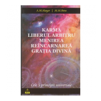 Cele cinci principii universale - Angela Mayer