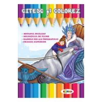 Citesc si colorez: Craiasa Zapezilor