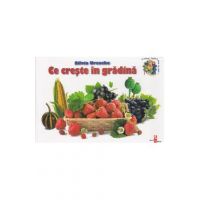 Ce creste in gradina - Silvia Ursache