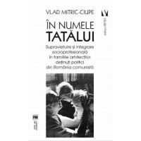 In numele tatalui - Vlad Mitric-Ciupe