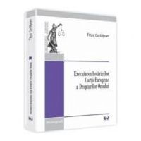 Executarea hotararilor Curtii Europene a Drepturilor Omului - Titus Corlatean