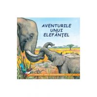 Aventurile unui elefantel - Sa cunoastem lumea inconjuratoare!
