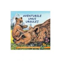 Aventurile unui ursulet - Sa cunoastem lumea inconjuratoare!