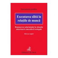 Executarea silita in relatiile de munca. Repunerea salariatului in situatia anterioara concedierii nelegale - Razvan Anghel