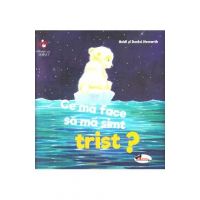 Ce ma face sa ma simt trist? - Heidi Howarth, Daniel Howarth