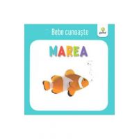 Marea - Bebe cunoaste
