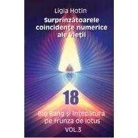 Surprinzatoarele coincidente numerice ale vietii vol.3 - Ligia Hotin