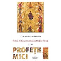 Vechiul Testament in talcuirea Sfintilor Parinti: Profetii mici - Ioan Sorin Usca, Vasile Bora