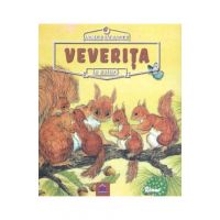 Animale salbatice in natura: Veverita - Renne