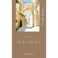 Via Dolorosa - Vasile Burlui