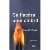 Ca flacara unui chibrit - Dan C. David