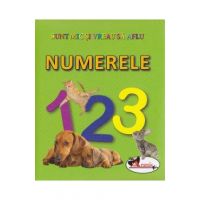 Numerele - Sunt mic si vreau sa aflu