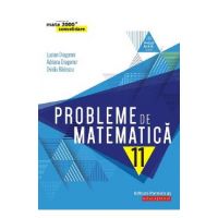 Probleme de matematica. Consolidare - Clasa 11 - Lucian Dragomir