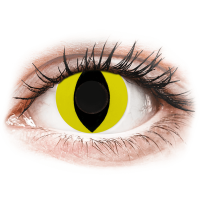 Lentile de contact colorate CRAZY LENS - Cat Eye Yellow - lentile zilnice fără dioptrie (2 lentile)