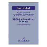 Sanatatea si securitatea in munca. Abordare multidisciplinara - Razvan Anghel, Georgiana Anghel-Tudor