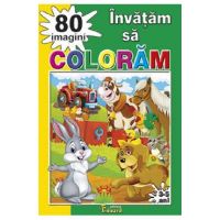 Invatam sa coloram 80 imagini