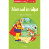 Motanul incaltat. Poveste cu pictograme. Citesc cu ajutor: Nivelul 1