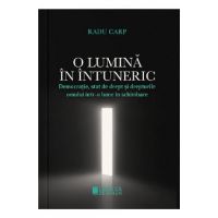 O lumina in intuneric - Radu Carp