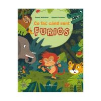 Ce fac cand sunt furios - Nanna Nesshover, Eleanor Sommer