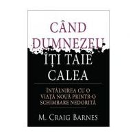Cand Dumnezeu iti taie calea - M. Craig Barnes