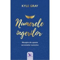 Numerele ingerilor - Kyle Gray