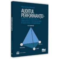 Auditul performantei - Maricica Stoica