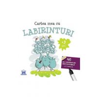 Cartea mea cu labirinturi. 46 de labirinturi refolosibile + carioca