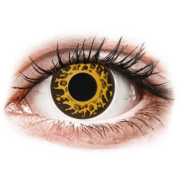 Lentile de contact colorate CRAZY LENS - Cheetah - lentile zilnice cu dioptrie (2 lentile)