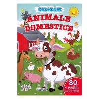 Coloram animale domestice. 80 de pagini pentru tine!