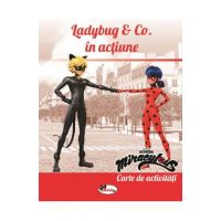 Ladybug and Co in actiune. Carte de activitati
