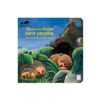 Cand animalutele sunt obosite - Sabine Cuno