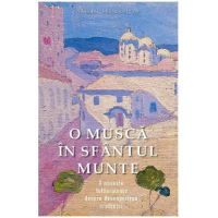 O musca in Sfantul Munte - Vasilis G. Frangopulos