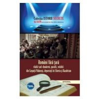 Istorii secrete Vol. 37: Romani fara tara - Dan-Silviu Boerescu