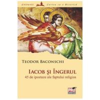 Iacob si Ingerul - Teodor Baconschi