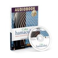 Calea hamacului. Designul calmului pentru o viata ocupat (Audiobook) - Marga Odahowski