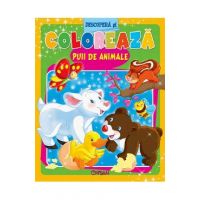 Descopera si coloreaza. Puii de animale