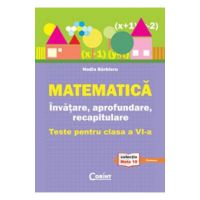 Matematica. Invatare, aprofundare, recapitulare - Clasa 6 - Teste - Nadia Barbieru