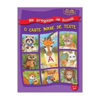 Ne pregatim de scoala. O carte mare de teste 6-7 ani
