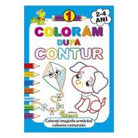 Coloram dupa contur 1